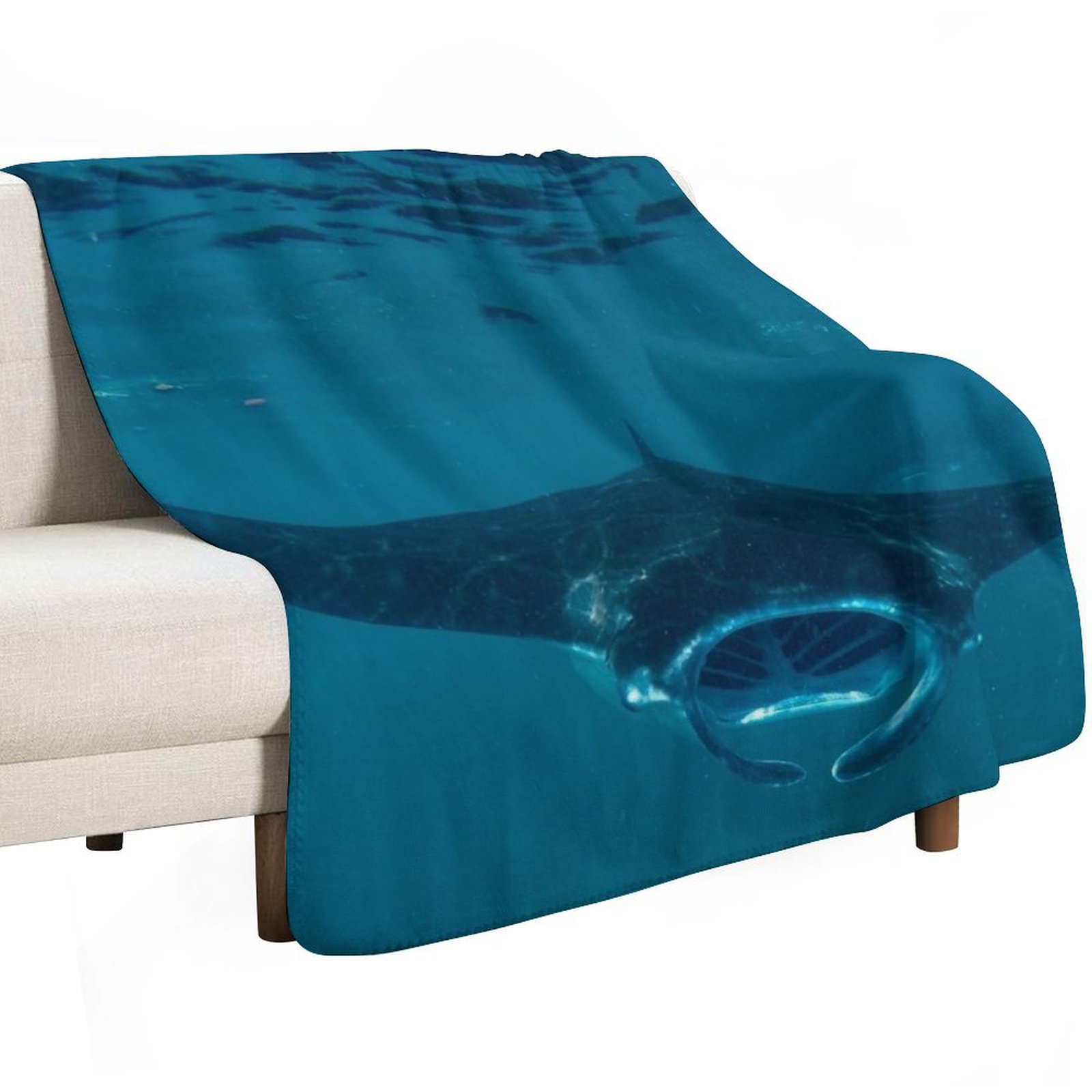 Ciekawy Manta Ray w Crystal Ba – 3D Printing Bali recenzja i cena